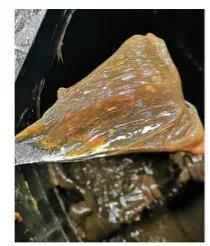 雅富頓化學工業(yè)潤滑油
