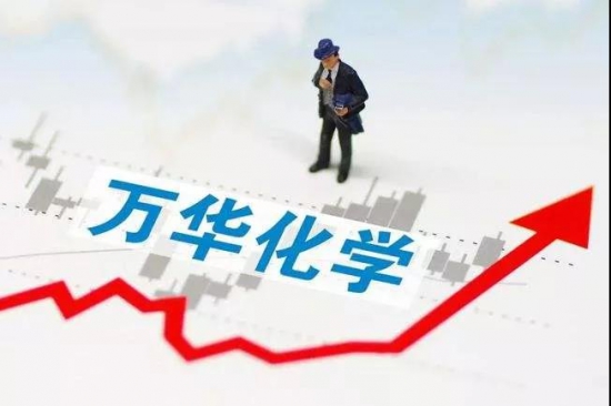 萬(wàn)華化學(xué)預(yù)計(jì)去年凈利潤(rùn)逾240億